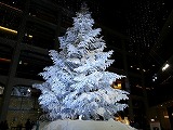 東京　キッテのクリスマスツリー